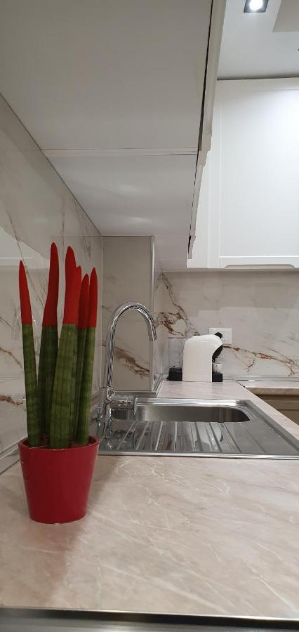 Luxury Drijon Apartments 3J Шкодер Экстерьер фото